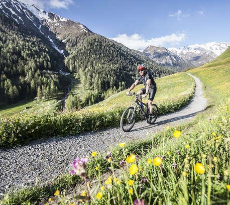 Choose your activity