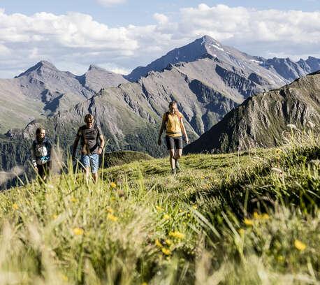 Wählen Sie Ihre Aktivität